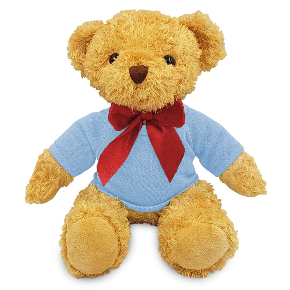 Blank 18cm William Bear with Baby Blue t-shirt