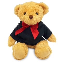 Blank 18cm William Bear with Black hoody