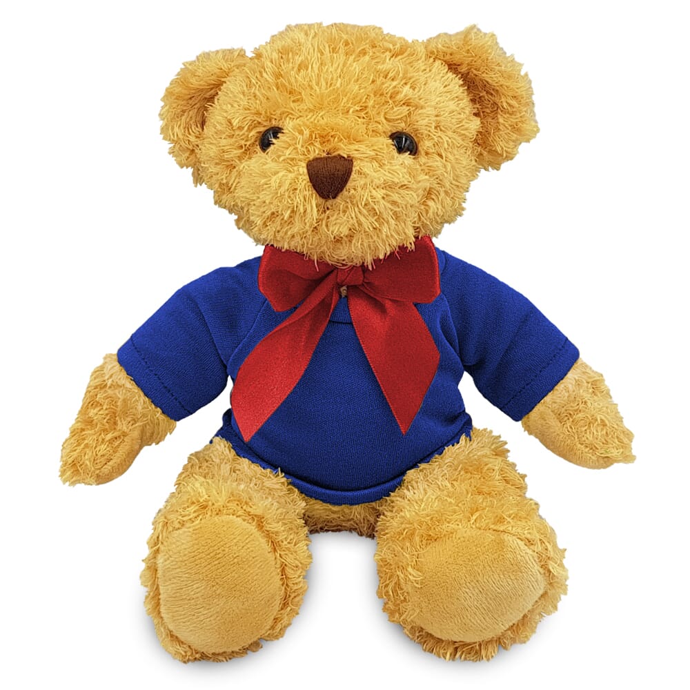 Blank 18cm William Bear with Royal Blue t-shirt