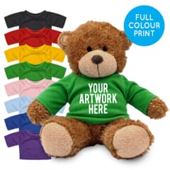Printed 17cm Anne bear with Coloured t-shirt