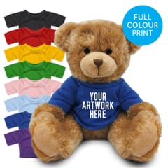 Printed 20cm Charles Jointed bear with Coloured t-shirt
