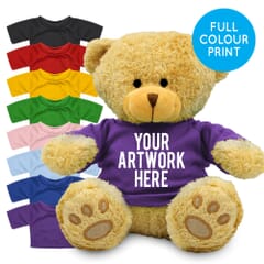 Printed Golden 22cm Edward bear with Coloured t-shirt