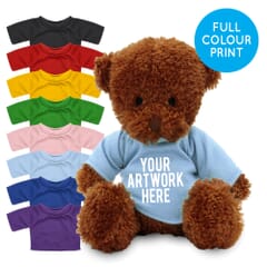 Printed Brown 18cm James bear with Coloured t-shirt