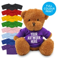 Printed Golden 18cm James bear with Coloured t-shirt