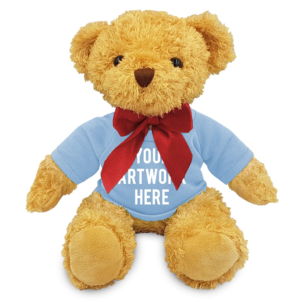 18cm William Bear with Baby Blue t-shirt