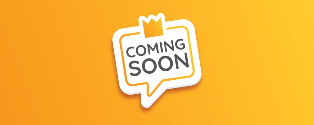 COMING SOON - Exciting Changes Ahead at Regal Toys: Enhancing Your Distributor Experience