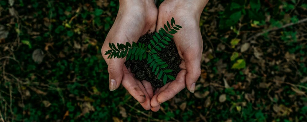 Monarch Print - Make Your Business More Eco-Friendly & Sustainable